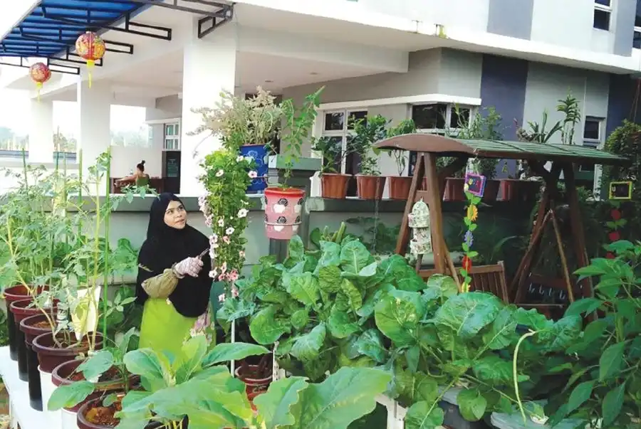 Taman Kombinasi Kebun Sayur Rumah