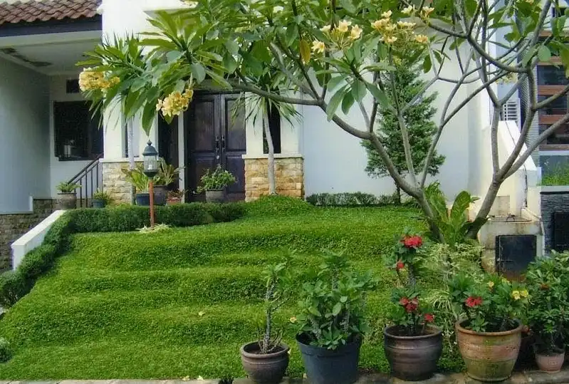 Tips Cara Membuat Taman Bunga di Depan Rumah