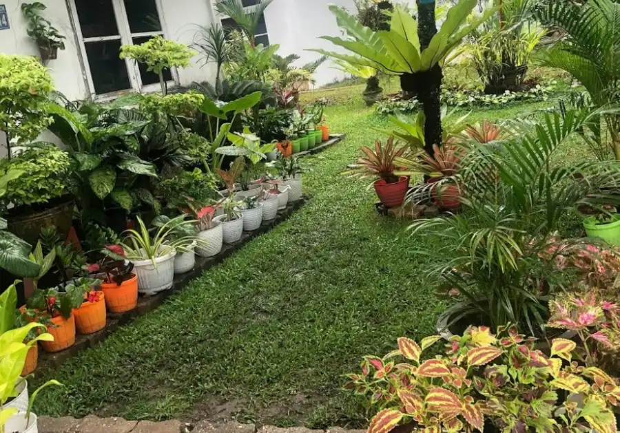 taman rumah sederhana luas
