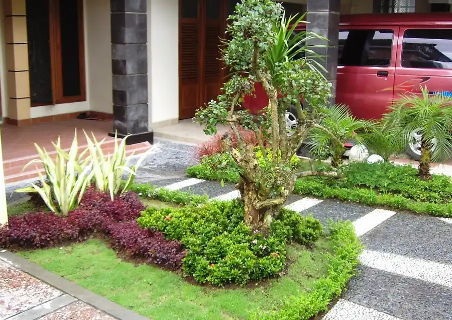 taman rumah sederhana samping carport